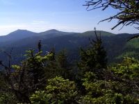 fruehling77 blick vom schwarzeck auf enzian kl_arber gr_arber